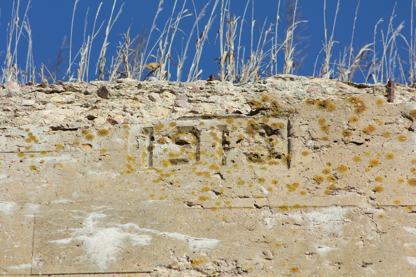 Date stamp